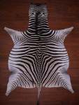 A Grade Zebra Hide 076 M