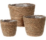 Flower Pot Cattail Leave Set 3