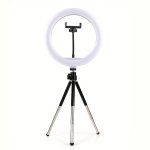 10-INCH Lamp With Metal Three-section Bracket
