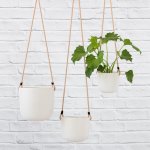 Moon Hanging Planter - White - 13CM Green