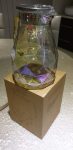 Transparent Rainbow Shade Glass Jug