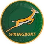 Springbok Paper Plates 8PCS - Factory Plaza