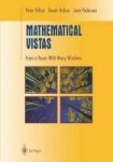 Mathematical Vistas - From A Room With Many Windows Hardcover