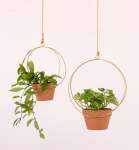 Andro Metal Hanger - Pale Gold - 16CM Inner Diameter + 17CM Azalea Terracotta Pot