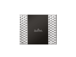 Frame Pierre Day Silver 10X15CM