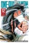 One-punch Man Vol. 12   Paperback