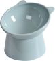 Cat Food Bowl Tilted Cat Bowl Whisker Friendly Anti Vomiting Slanted Feeder