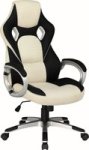 Frost Ergonomic Gaming Chair -
