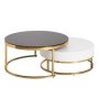 Contemporary Nesting Coffee Table