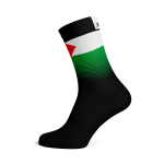 Palestine Flag Socks - XL