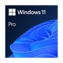 Microsoft Windows 11 Professional DVD Single User License Dsp No Warranty On Software