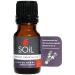 Soil-juniper Essential Oil 10ML