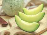Honeydew Concentrate - 10ML