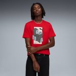 Puma Mens Graphic Tee M Red - Red 2XL