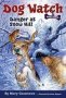 Danger At Snow Hill   Paperback