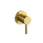 Florence Brass Conceal Shower Mixer