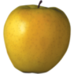 Extra Large Golden Delicious Apple