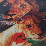 4AKID 5D Diamond Picture - Rose Painting