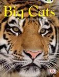 Bc Nf Brown B 3B Big Cats Paperback