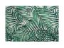 Mw Placemat Foliage 45X30CM Fern 6PK