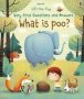 Very First Questions And Answers What Is Poo?   Board Book