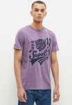 College Scripted Graphic Tee - Purple Grape Compote Marl