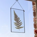 Velt Botanical Frame - Large Fern - 21CM X 29.7CM - A4