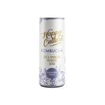 Kombucha 300ML - Blueberry & Basil