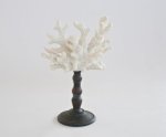 White Coral On Stand 33X21CM