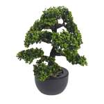 Bonzai Tree In Pot 32X32X50CM - Two Tone Full Leaves