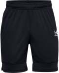 Boys' Ua Challenger III Knit Shorts - BLACK-001 Ysm