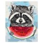 Paint By Numbers Summerraccoon Wrapped