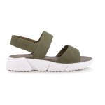 12498 Forest - Forest 42 Nubuck