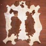 Bs Grade Nguni Hide 221 Brown white XXL - Extra Extra Large Brown white Panelled