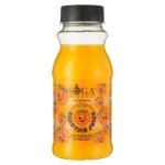 Frozen Naartjie Juice 250ML