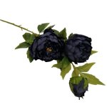 Peony 92CM - Navy