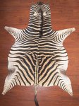 A Grade Zebra Hide 042 L