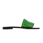 Croc Slip On Sandal -green