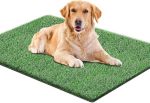 Ssriver Artificial Grass For Dogs Pee Tray Fake Grass Mat For Professional Puppy Potty Trainer Replacement Dog Grass Pad For Ind