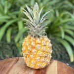 Heirloom Foods – Organic Pineapple