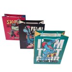 Medium Gift Bag Assorted