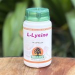 Willow – L-lysine 50 Capsules