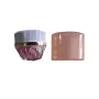 Basics Beauty Foundation Brush In Case - Lilac