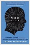 Pieces Of Light: How The New Science Of Memory Illuminates The Stories We Tell About Our Pasts