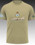 Sepecat Jaguar GR1 54SQN Raf