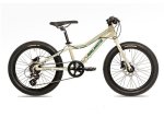 Avalanche Flash 20" Disc Green emerald
