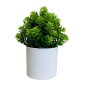 MINI Succulent Artificial Potted Plant - White & Green