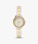 Fossil Stella Three-hand Date Two-tone Stainless Steel Watch ES5138