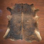 Bs Grade Nguni Hide 233 Tricolour XL - Extra Large Tricolour Brindle