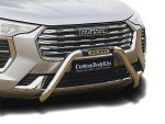 Haval Jolion 2021+ Nudge Bars Stainless Steel Asb
